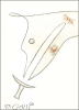 Dagger Of Soul